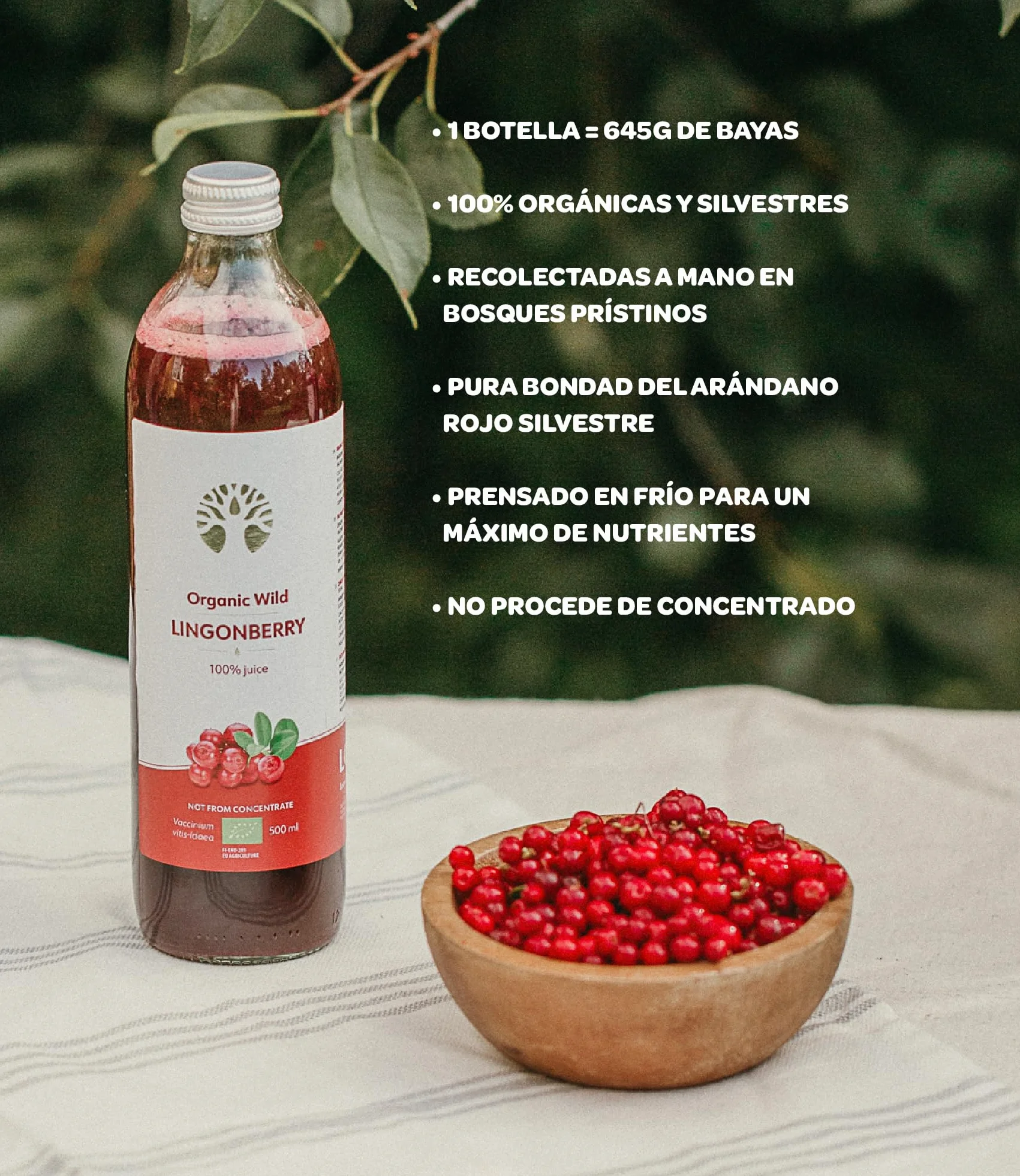 LOOV Zumo de Arándano Rojo Silvestre Orgánico 500 ml 100% arándanos rojos prensados sin azúcar añadido