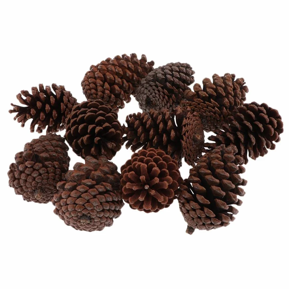 Conos de Pino Seco Natural 8-10 cm Decoración Árbol de Navidad 10 Piezas