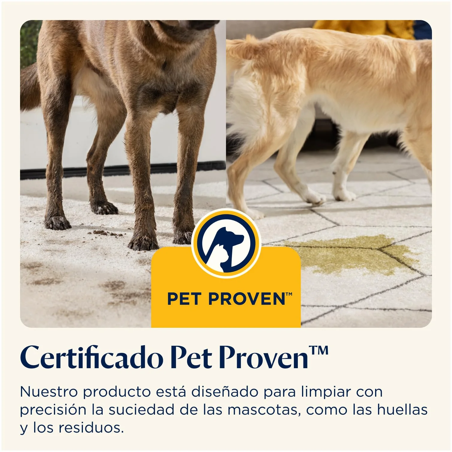 BISSELL PowerWash Compact Pet, Aspiradora de Agua Tapicería y Alfombras Compacto, Manchas y Olores Mascotas, Lava aspiradora Multisuperficie, Accesorios Desmontables, 600W, Portable, con Cable, 4058N