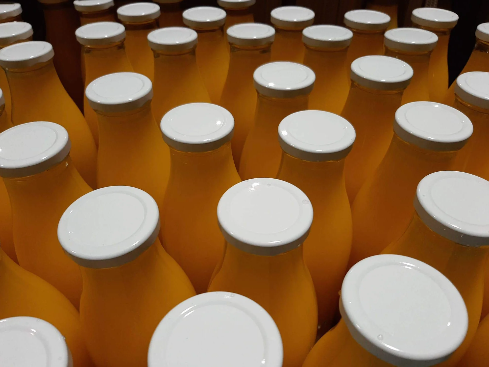Ekolo Zumo de Mandarina Ecológico 100% Exprimido 6 x 750 ml