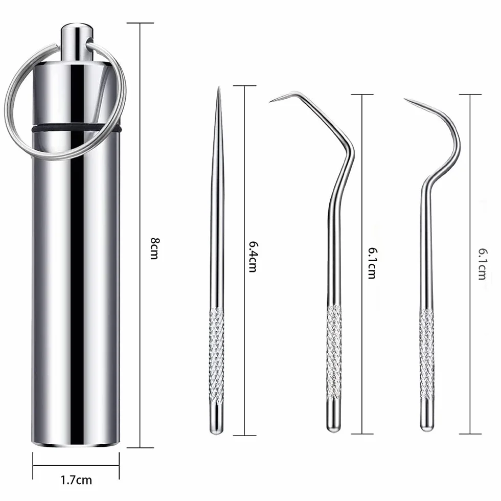 Kit de Palillos de Dientes de Acero Inoxidable Reutilizable con Soporte y Llavero Portátil