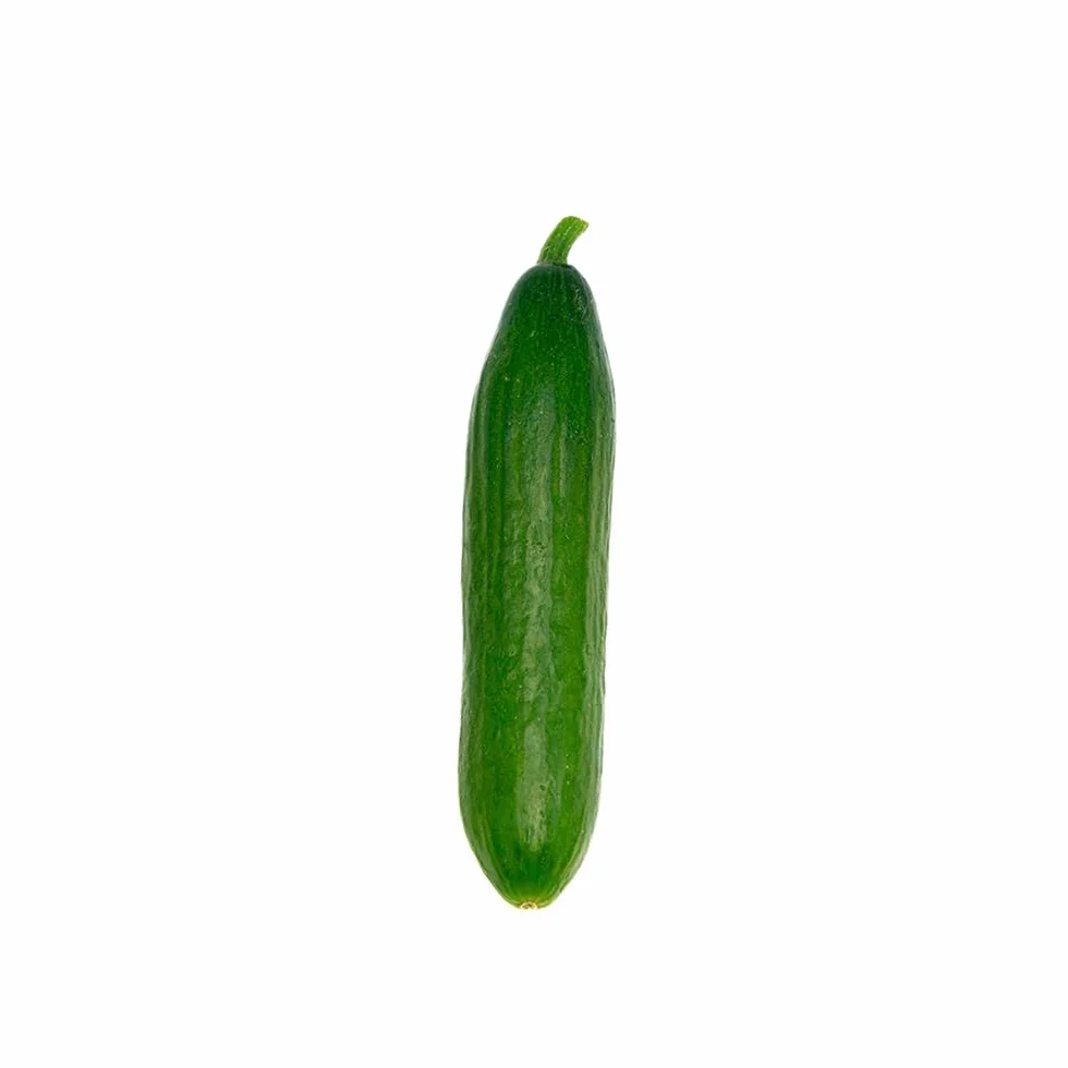 Pepino Cocktail Mycubies® 1kg La Parcela Origen España Andalucía Costa Tropical