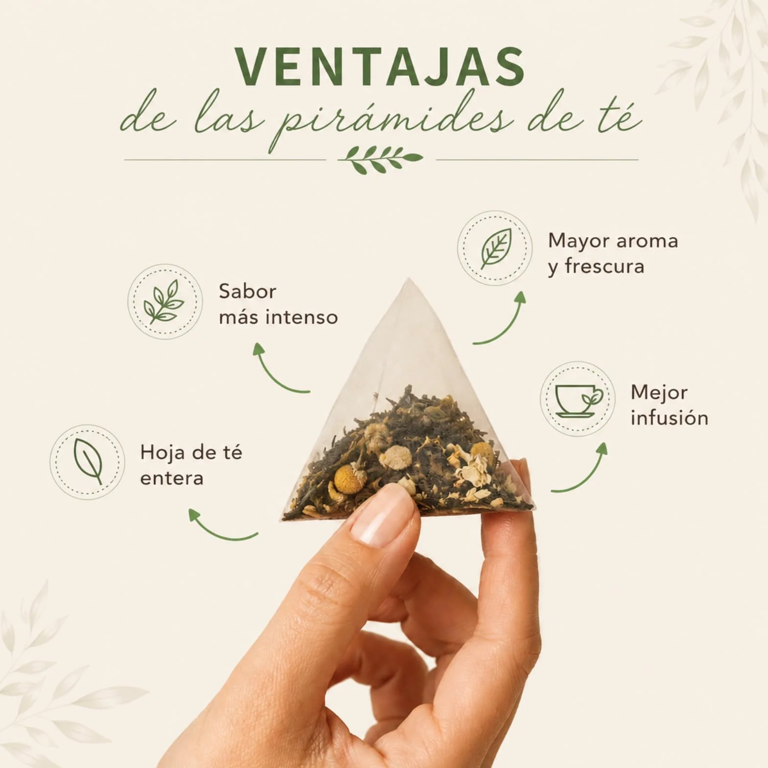 FUSIONATE Te Rojo Pu-Erh, 45 Pirámides, Sabor Terroso, Cultivado en Yunnan China