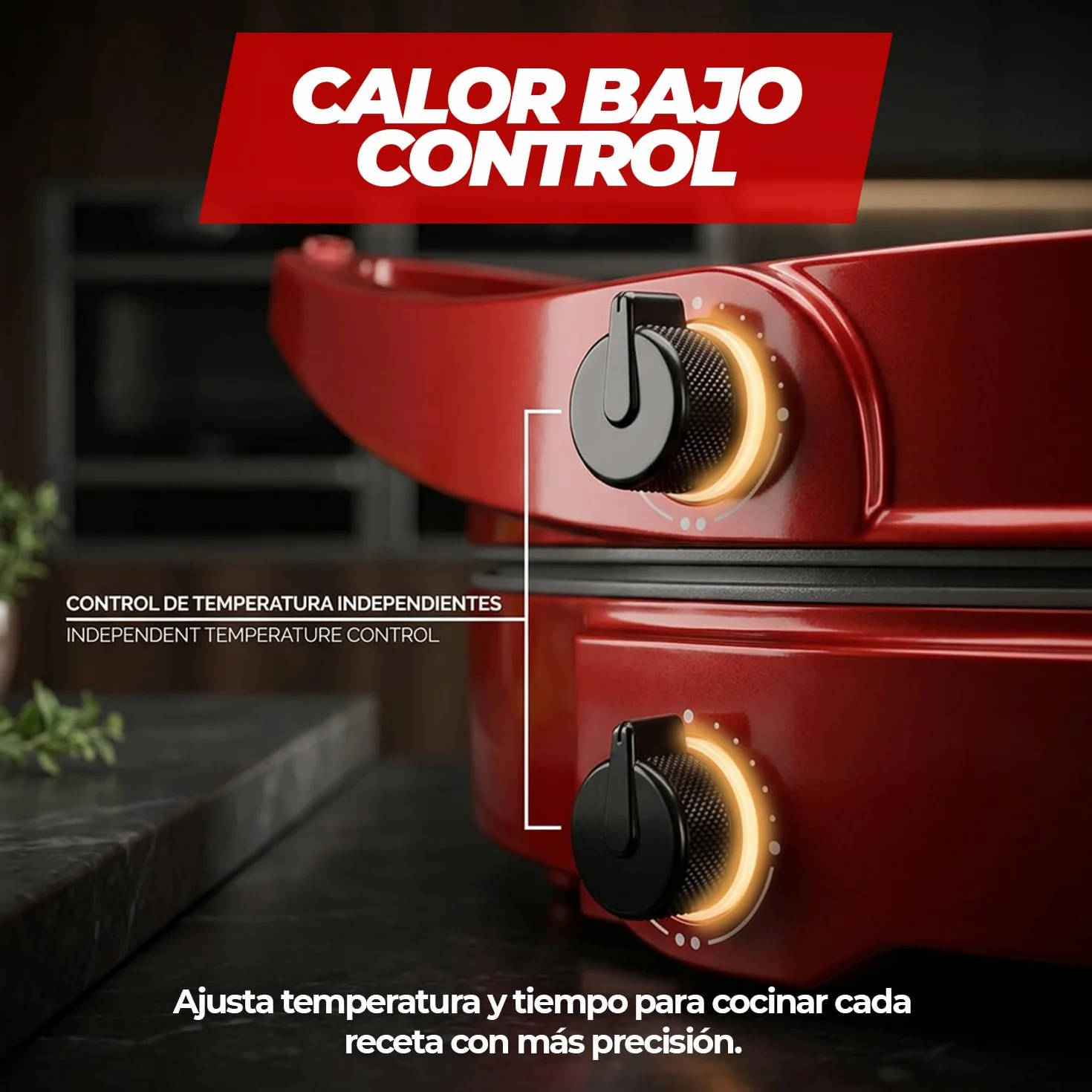 SOGO Horno Eléctrico 2en1 para Pizza y Barbacoa 30cm 1800W Horno Grill 180º
