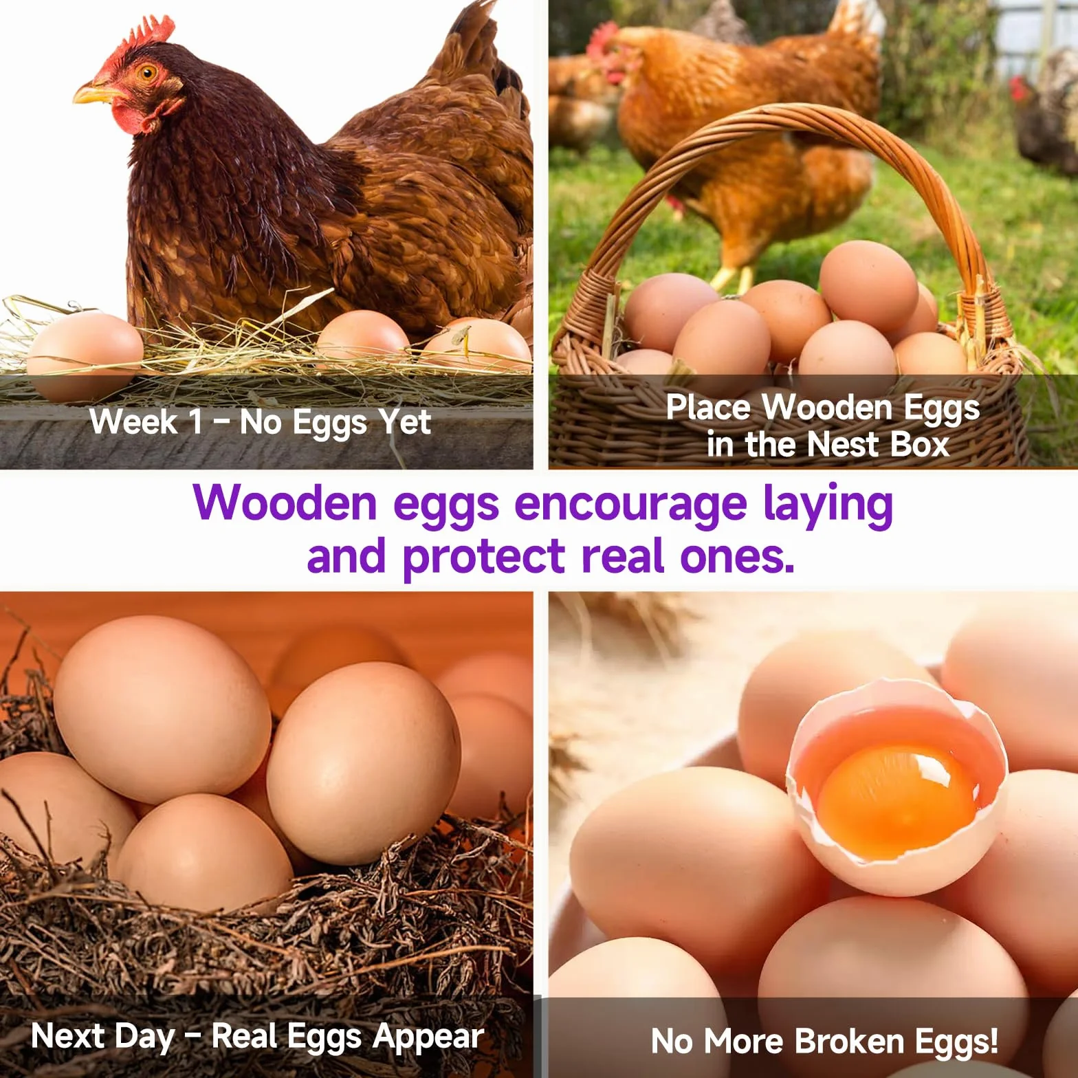 Huevos de Madera Artificiales para Gallinas, 8 Unidades, Ayuda para Ponedoras, Accesorios para Nidos