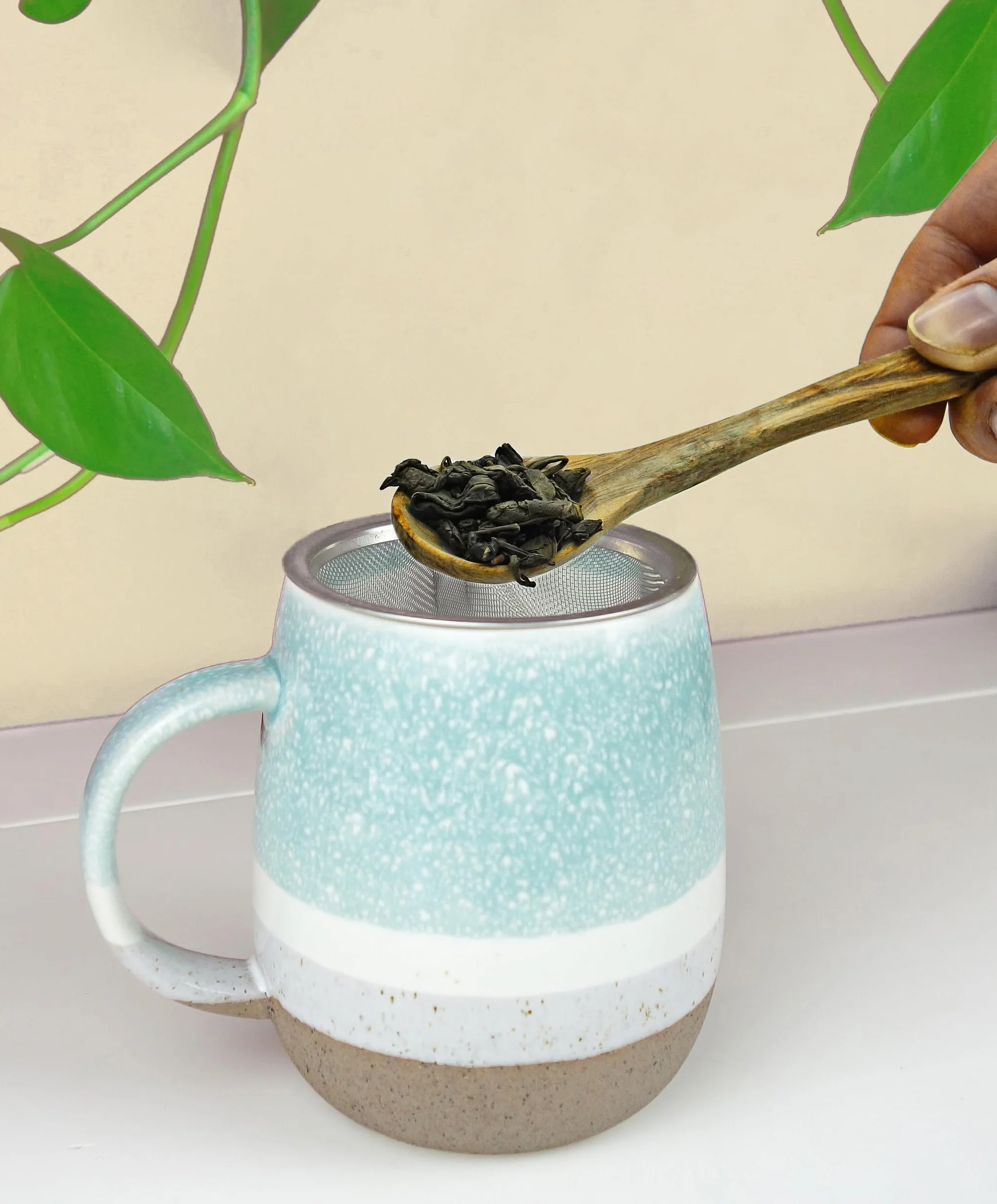 Té Verde Gunpowder 200g - Té a Granel - Infusión de Hierbas