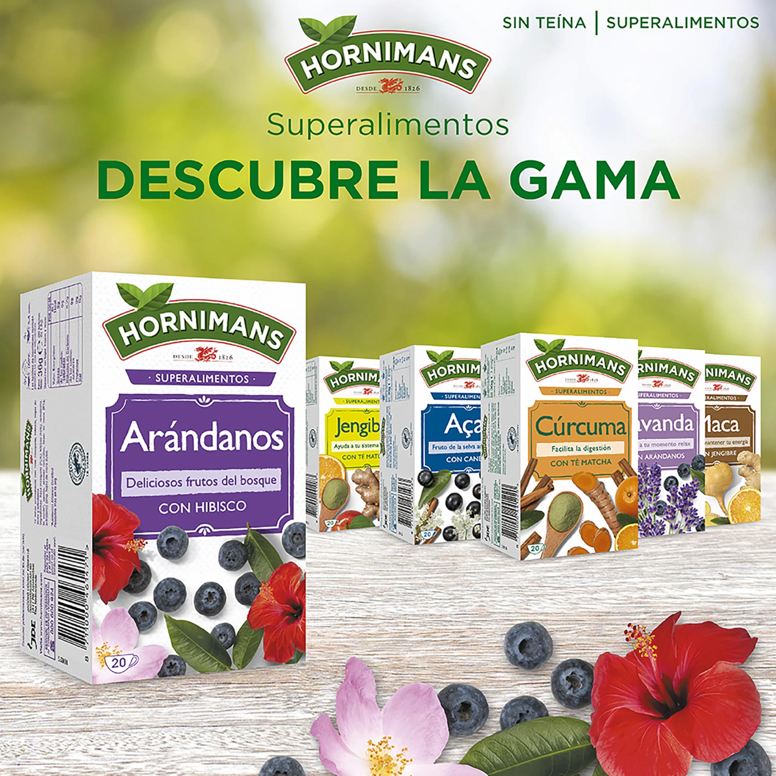 Hornimans Infusión de Arándanos con Hibisco 100% Natural 20 bolsitas