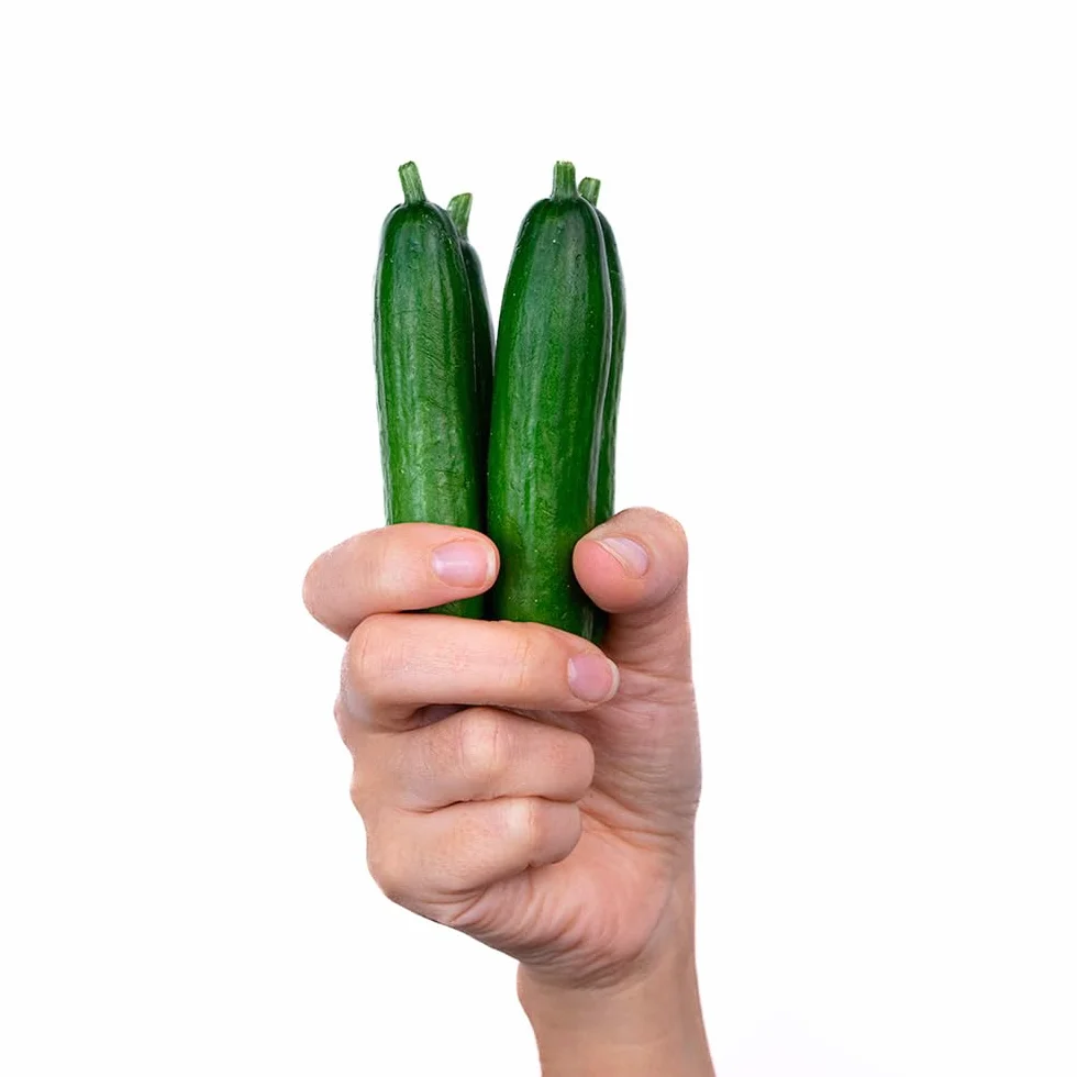 Pepino Cocktail Mycubies® 1kg La Parcela Origen España Andalucía Costa Tropical