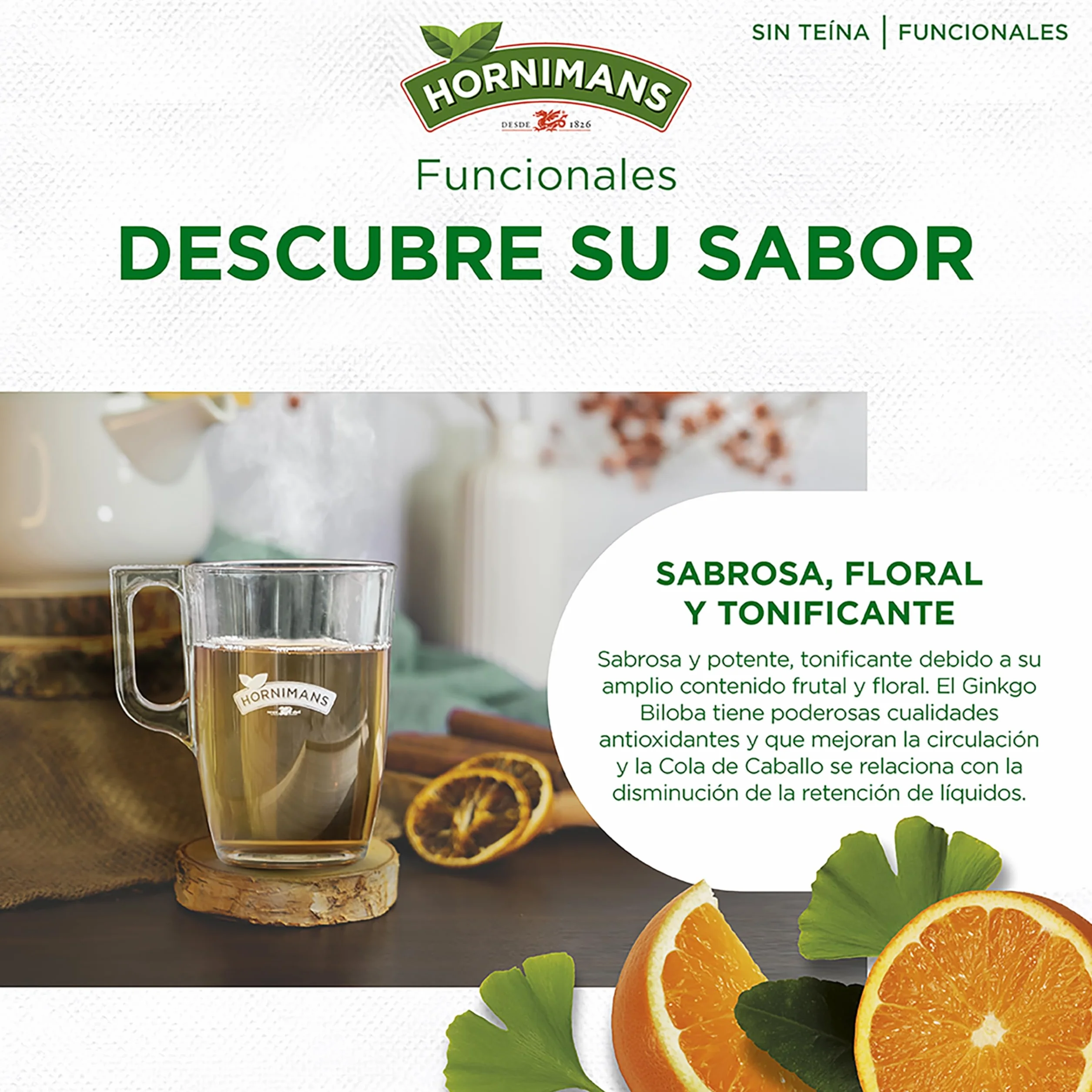 Hornimans Infu Dren Ginkgo Biloba Cola de Caballo 100% Natural 20 bolsitas Sin Teína