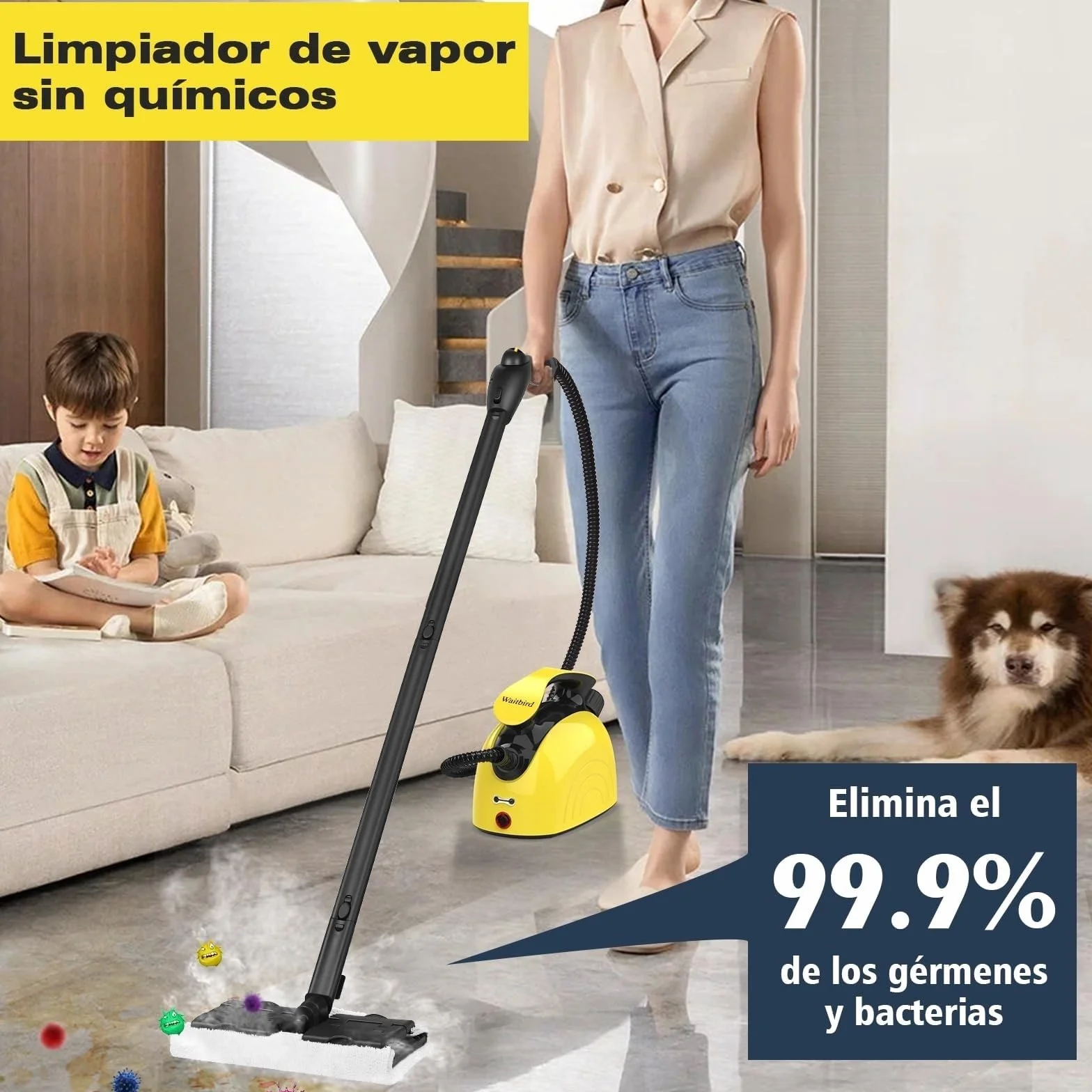 Waitbird Limpiador a vapor 1500W 4,5 bares 120°C 1100 ml 21 accesorios