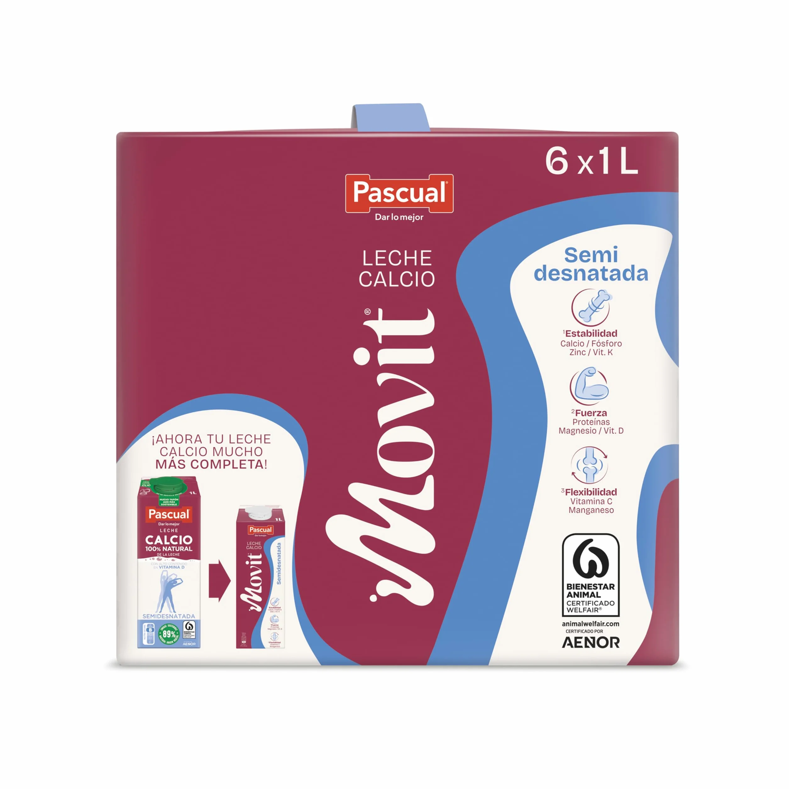 Leche Pascual Semidesnatada Movit con Calcio Pack 6 x 1L