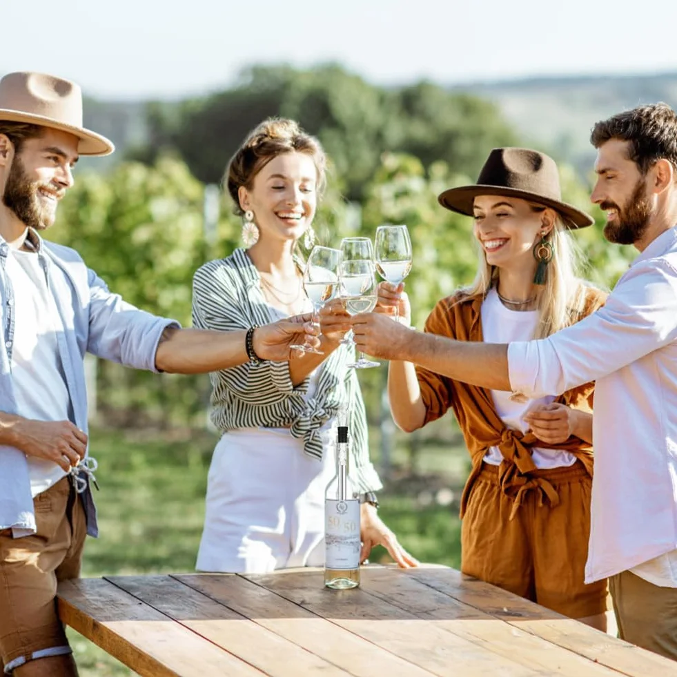 Enfriador Botellas Vino con Varilla de Enfriamiento, Acero Inoxidable, Aereador y Vertedor