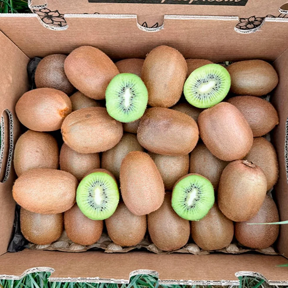 Kiwi Caja 2 Kg Fruta Directa del Agricultor Cultivado Sostenible España Rico en Vitamina C