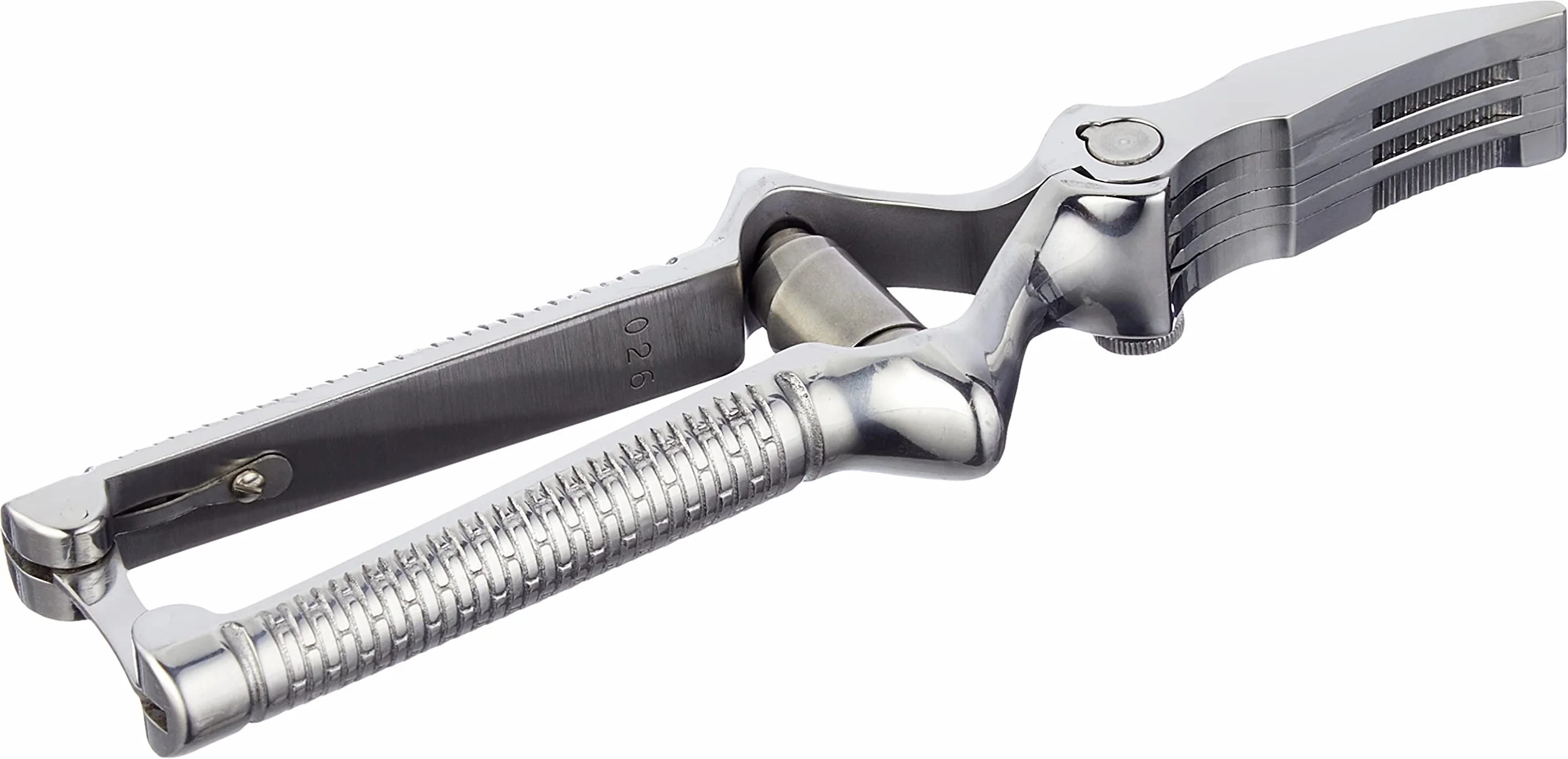 Waldmann Masticador de Carne Acero Inoxidable