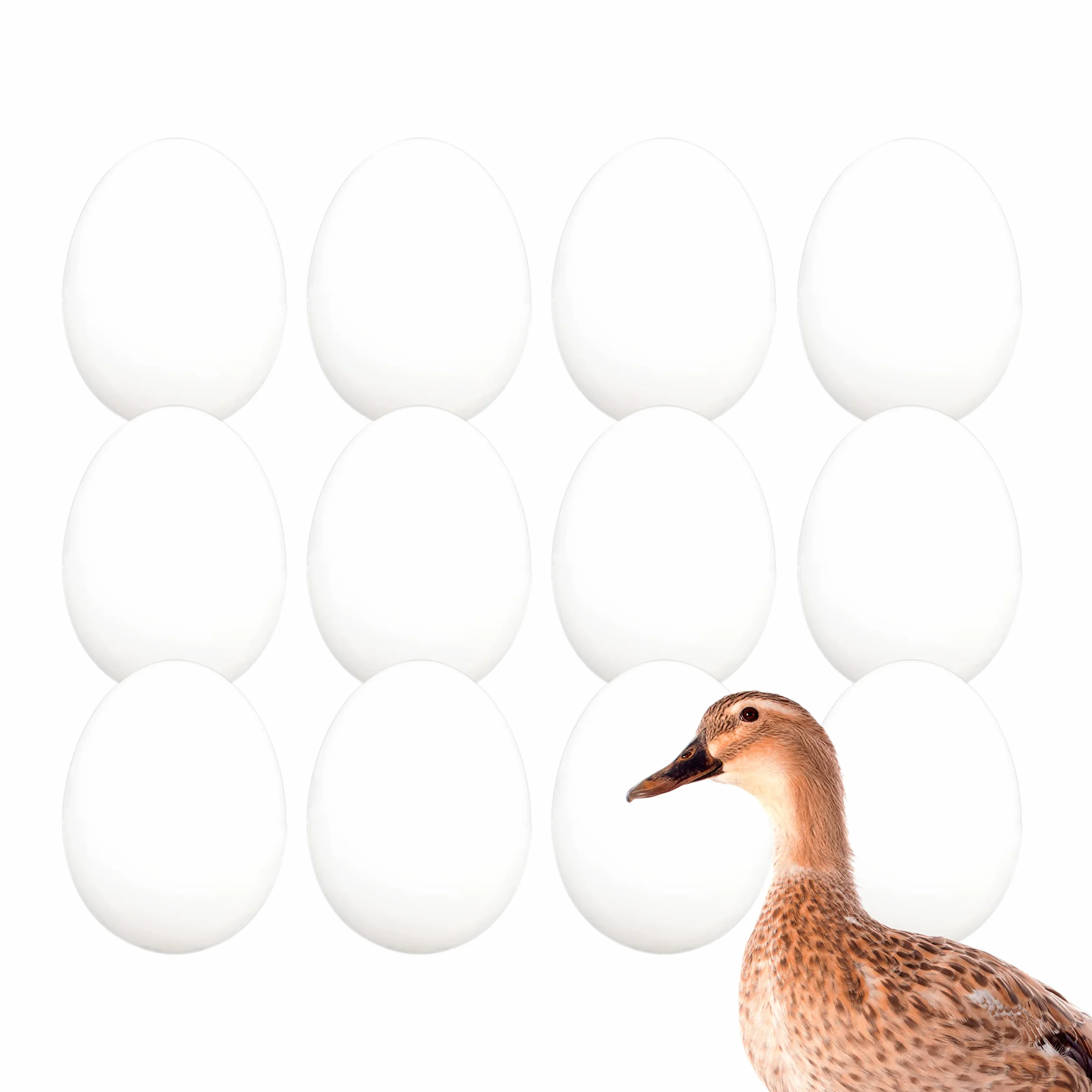 Pack Huevos de Pato Falsos Macizos Color Blanco (12) FINCA CASAREJO