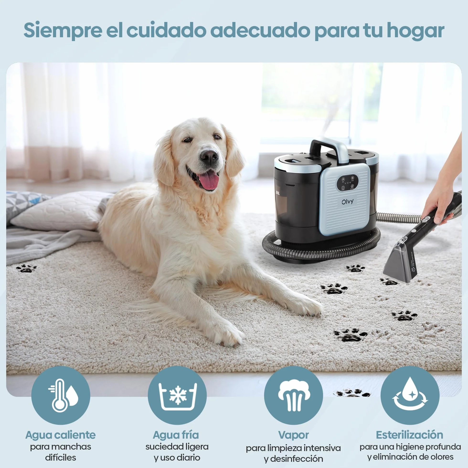 Olvy Limpiador de Alfombras PRO 1650W Aspiradora en húmedo con función de vapor 100°C