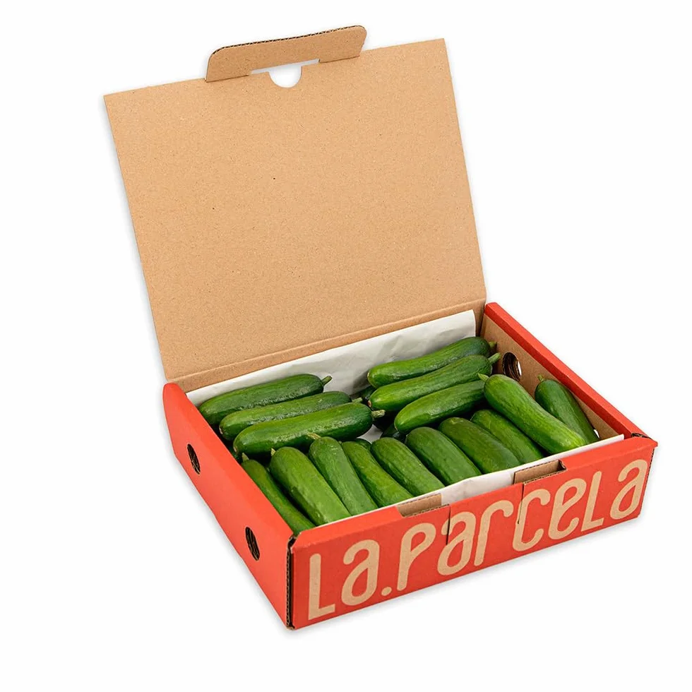 Pepino Cocktail Mycubies® 1kg La Parcela Origen España Andalucía Costa Tropical