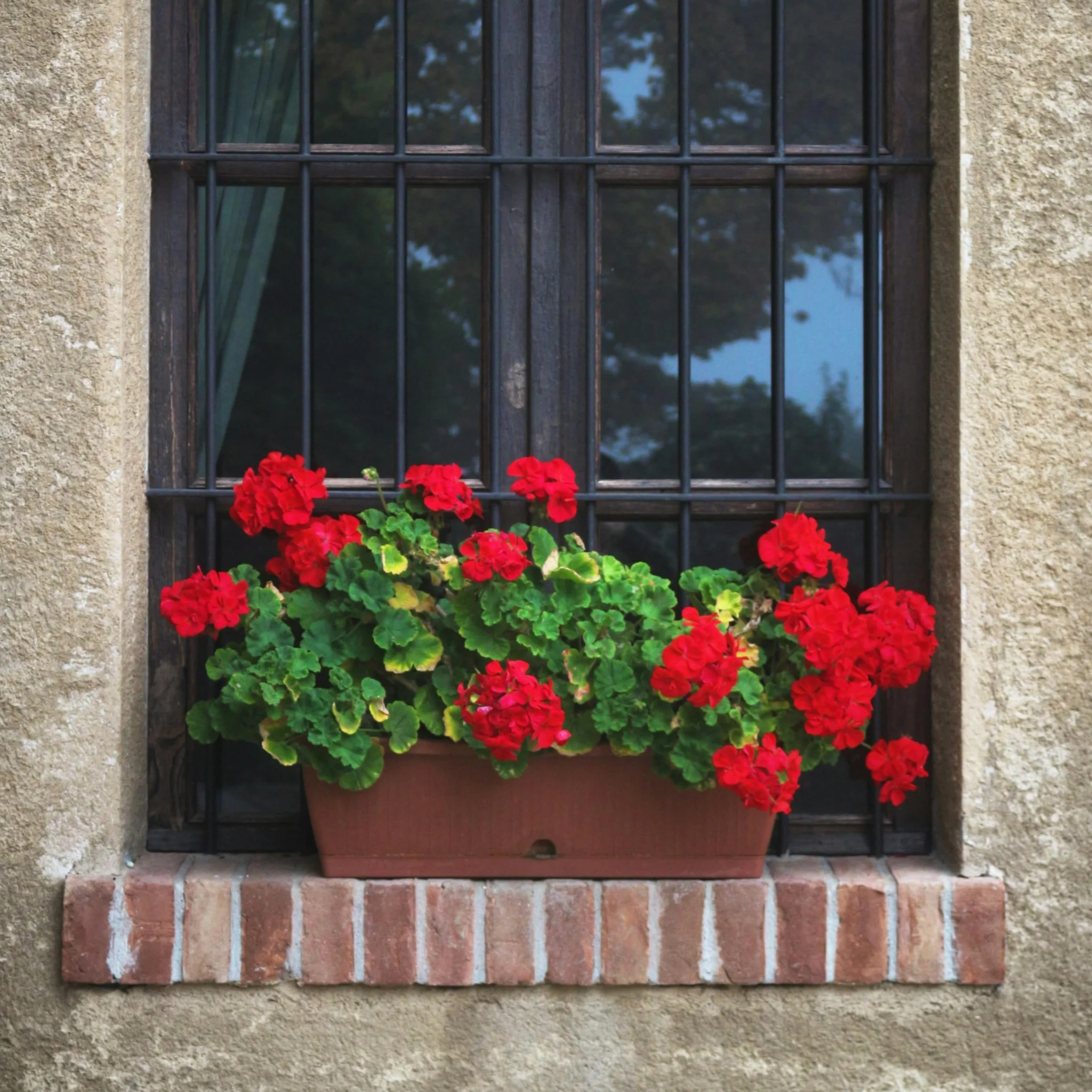 Geranios Artificiales Exterior Laelfe 4 Ramos Flores Decoracion Hogar Balcón Jardin Patio Maceta Colgante Rojo