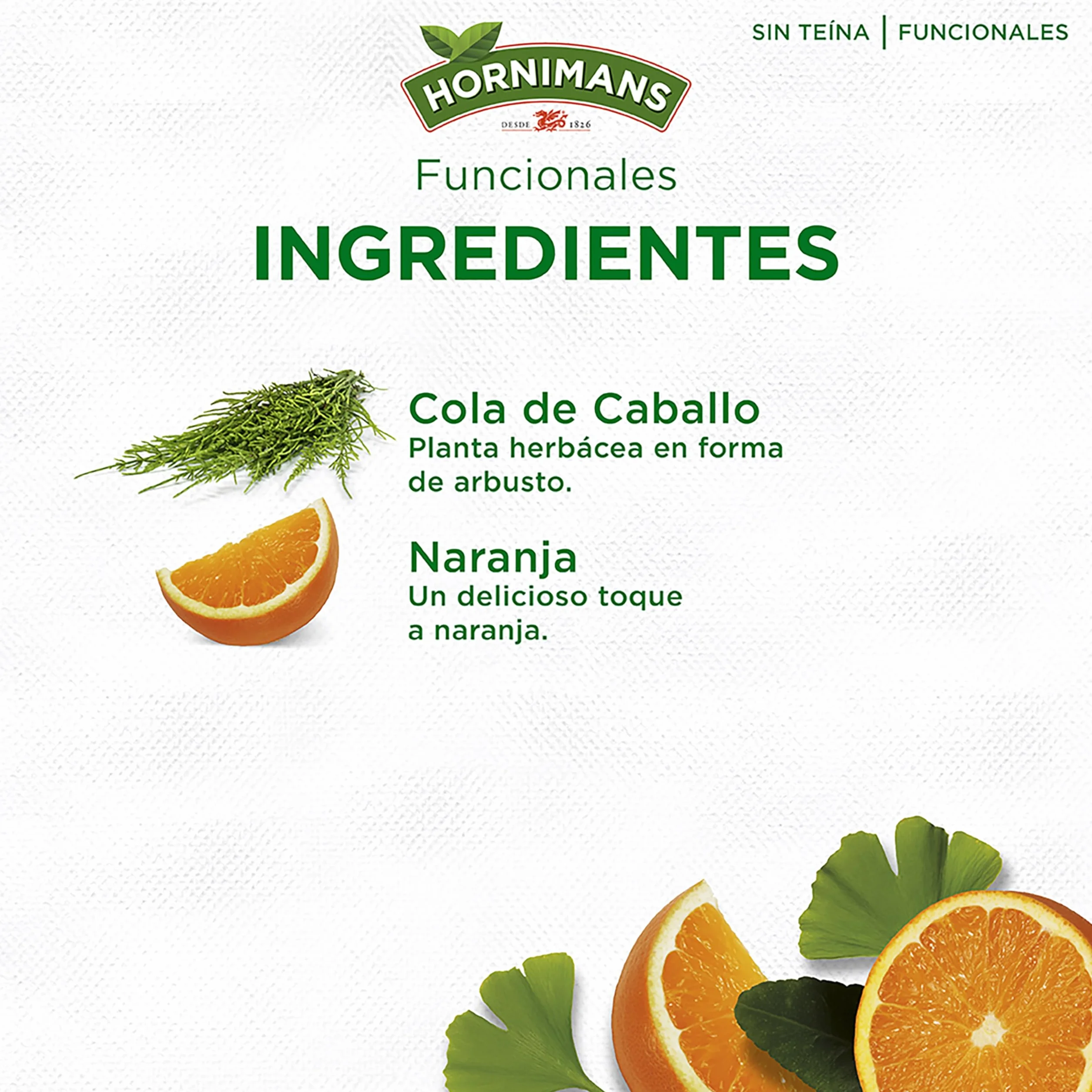 Hornimans Infu Dren Ginkgo Biloba Cola de Caballo 100% Natural 20 bolsitas Sin Teína
