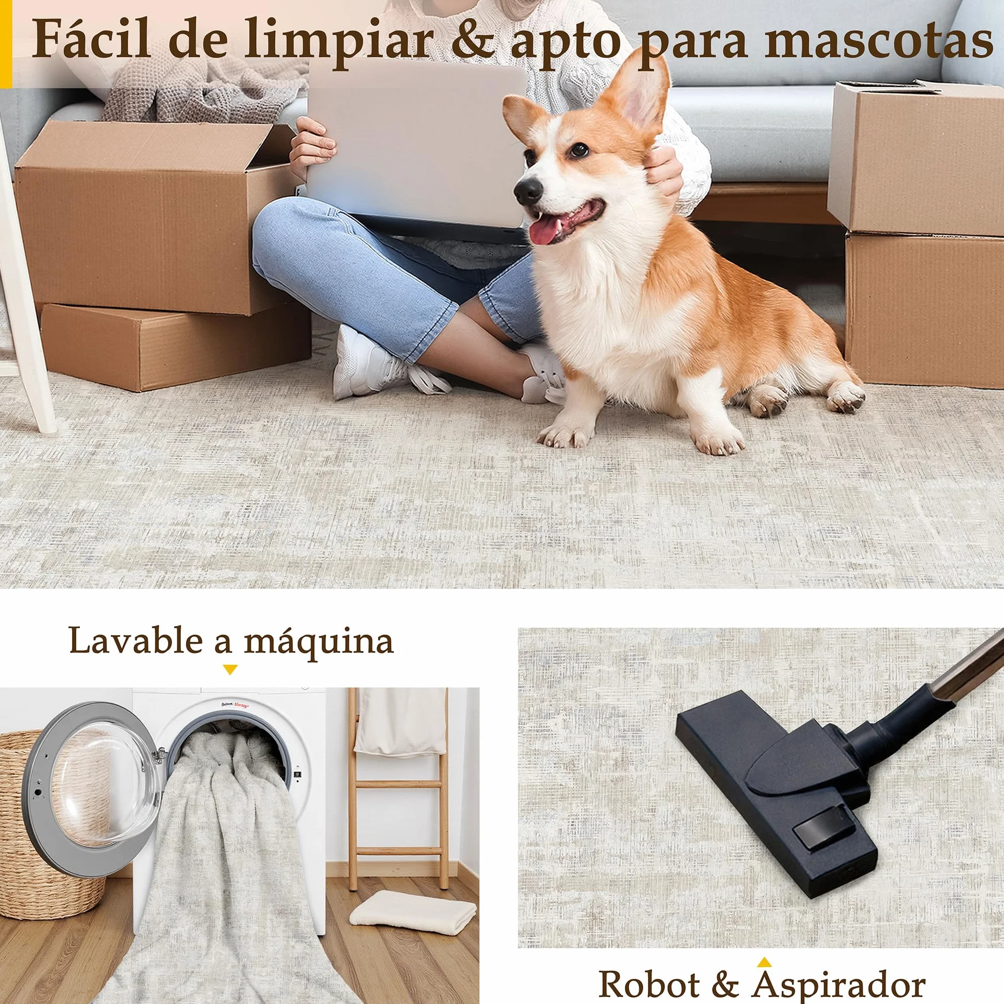 PureCozy Beige Alfombra Salon 200x300cm Habitacion Grandes Alfombras Moderna Antideslizante Lavable Lavadora Abstractas Carpete Dormitorio Sala Comedor Pie Cama Pelo Corto Carpet