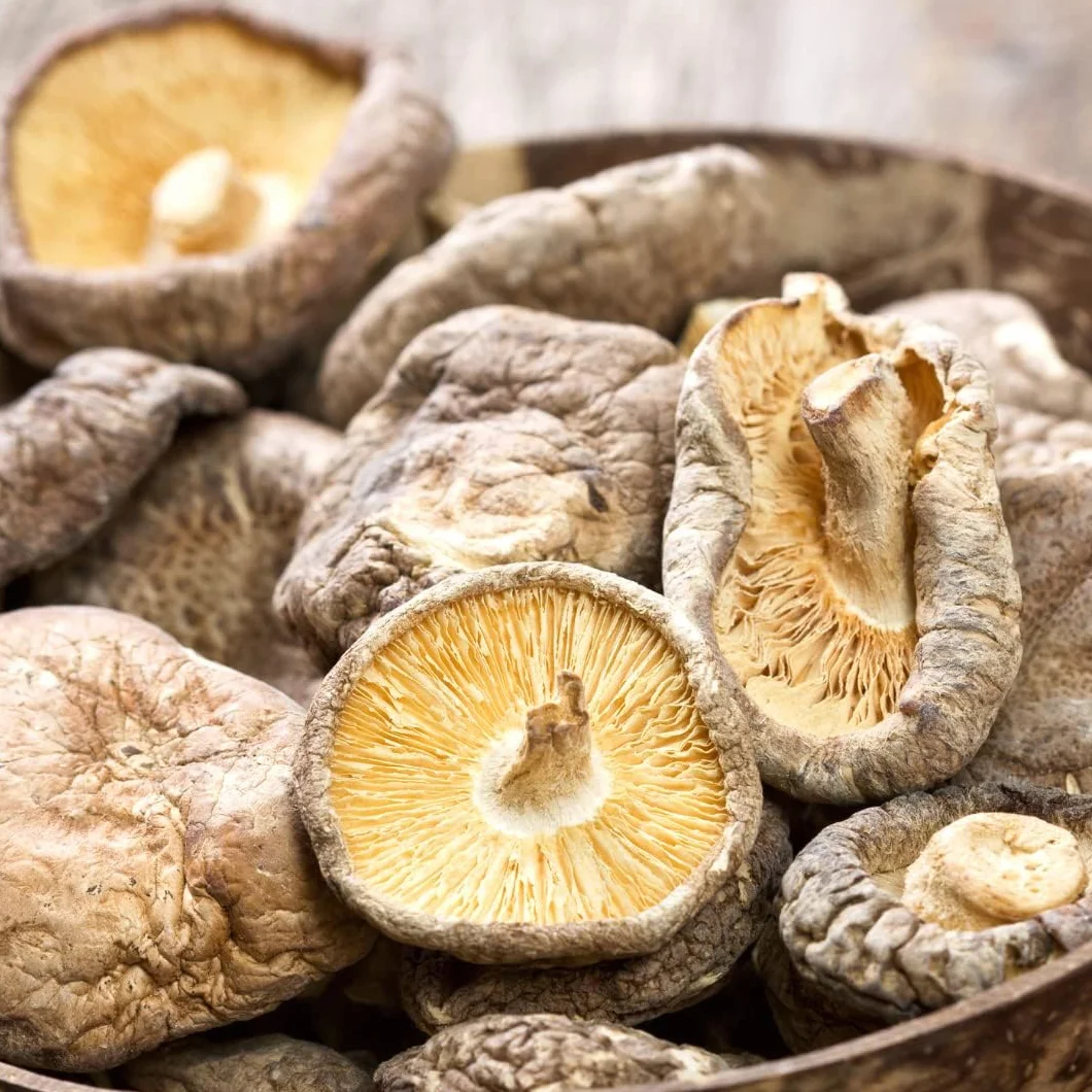Setas Shiitake Deshidratadas Orgánicas 100g Hongos Secos para Cocinar