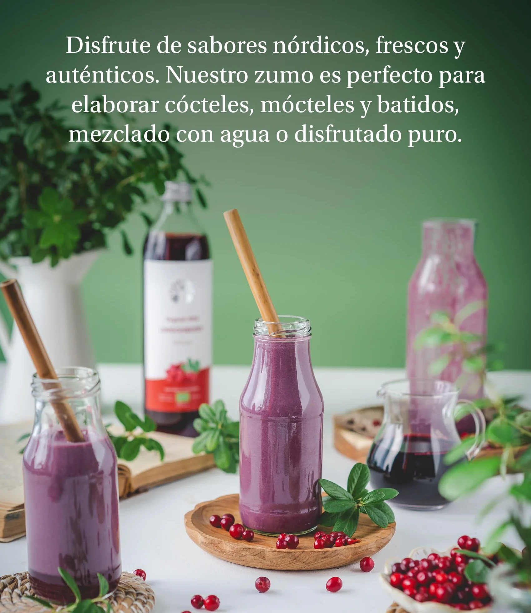 LOOV Zumo de Arándano Rojo Silvestre Orgánico 500 ml 100% arándanos rojos prensados sin azúcar añadido