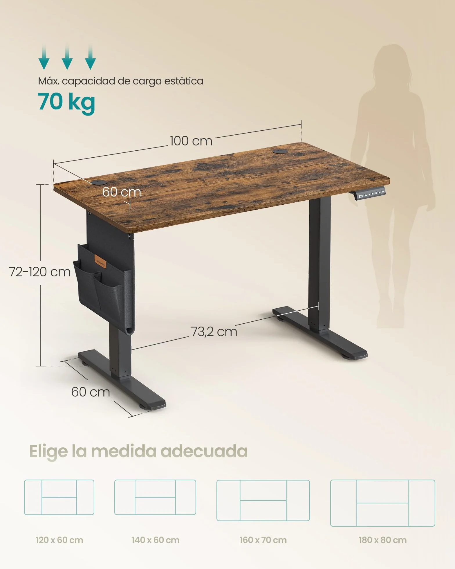 SONGMICS Escritorio Eléctrico Regulable en Altura 100x60 cm USB-C Marrón Rústico LSD130KD01