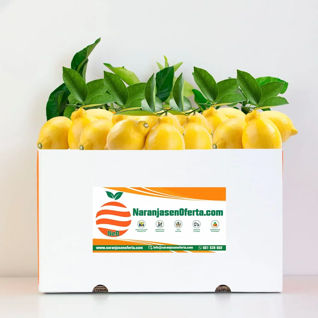 LIMONES ORIGEN VALENCIA NATURALES 15KG