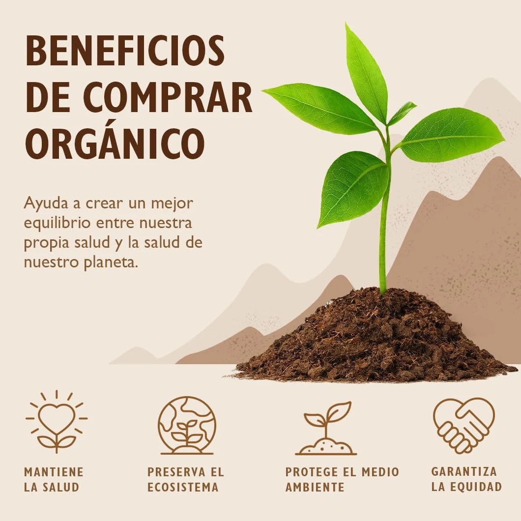 Sevenhills Wholefoods Hongo Reishi Bio en Polvo 100g Cuerpo Fructuoso Ganoderma Lucidum Vegano