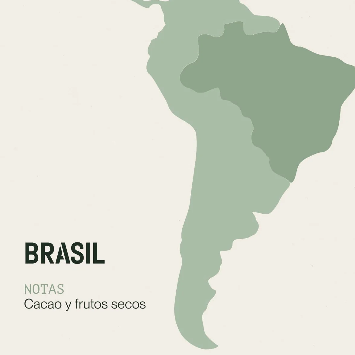 Incapto Café en Grano de Especialidad 1kg Brasil 100% Arábica Specialty Coffee 84 puntos SCA Tueste Natural Artesanal