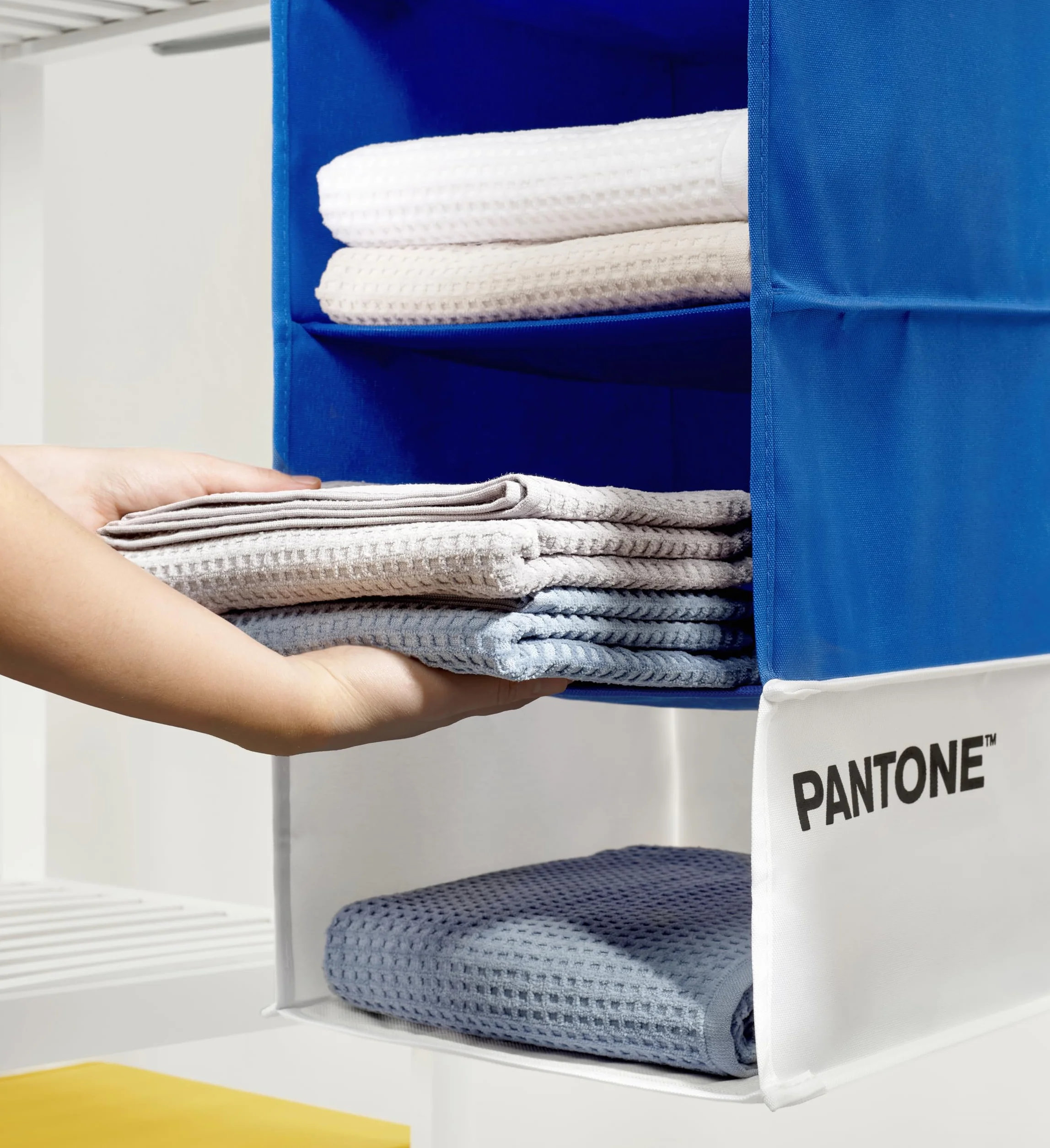PANTONE Organizador de armario para colgar 5 compartimentos 84 x 30 x 30 cm