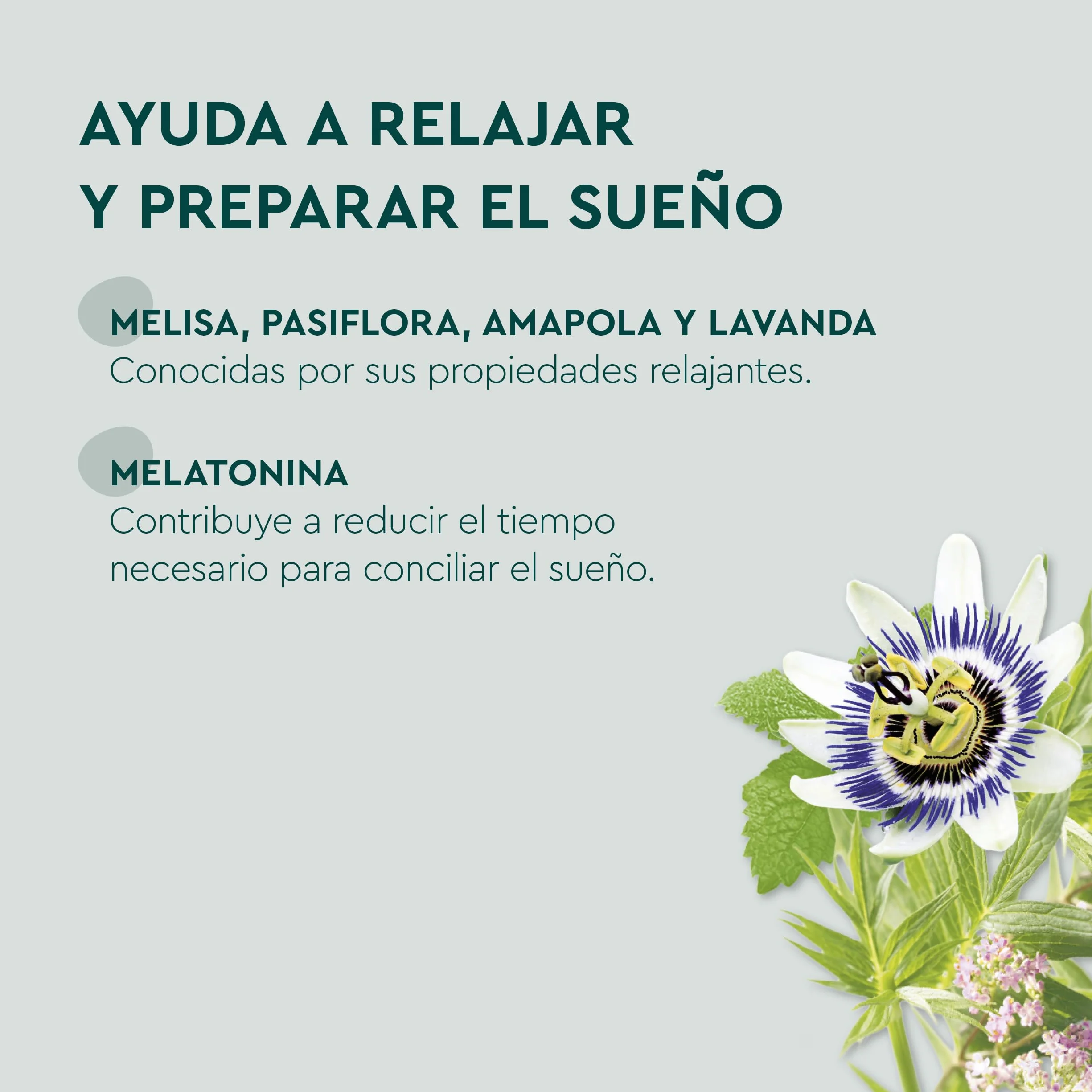Kneipp Infusión Buenas Noches Forte, Melatonina, Pasiflora y Lavanda, 20 Bolsitas (1,5 g)