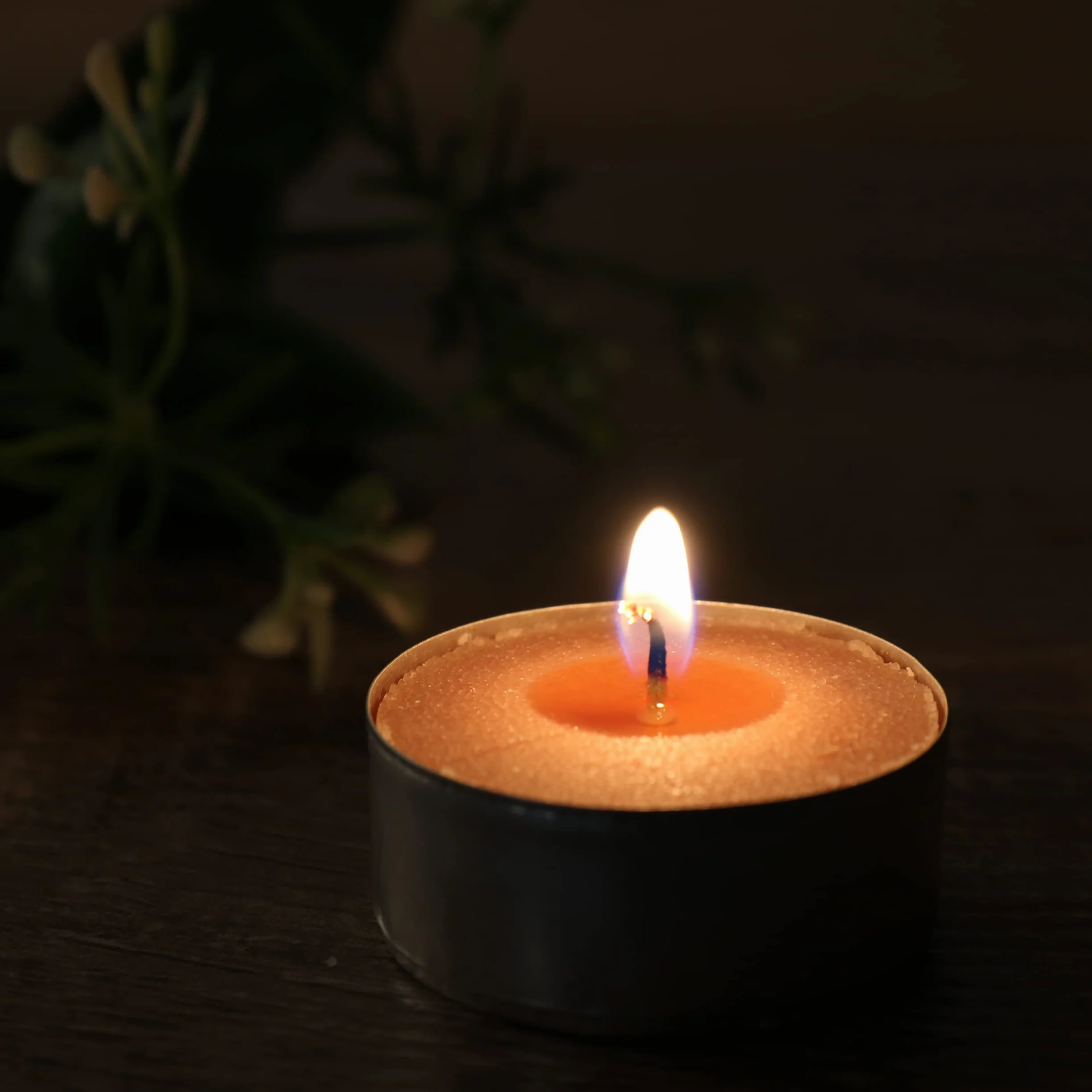 Velas de Té Perfumadas Pack de 40, 4.5 Horas, Vainilla para Aromaterapia y Decoración