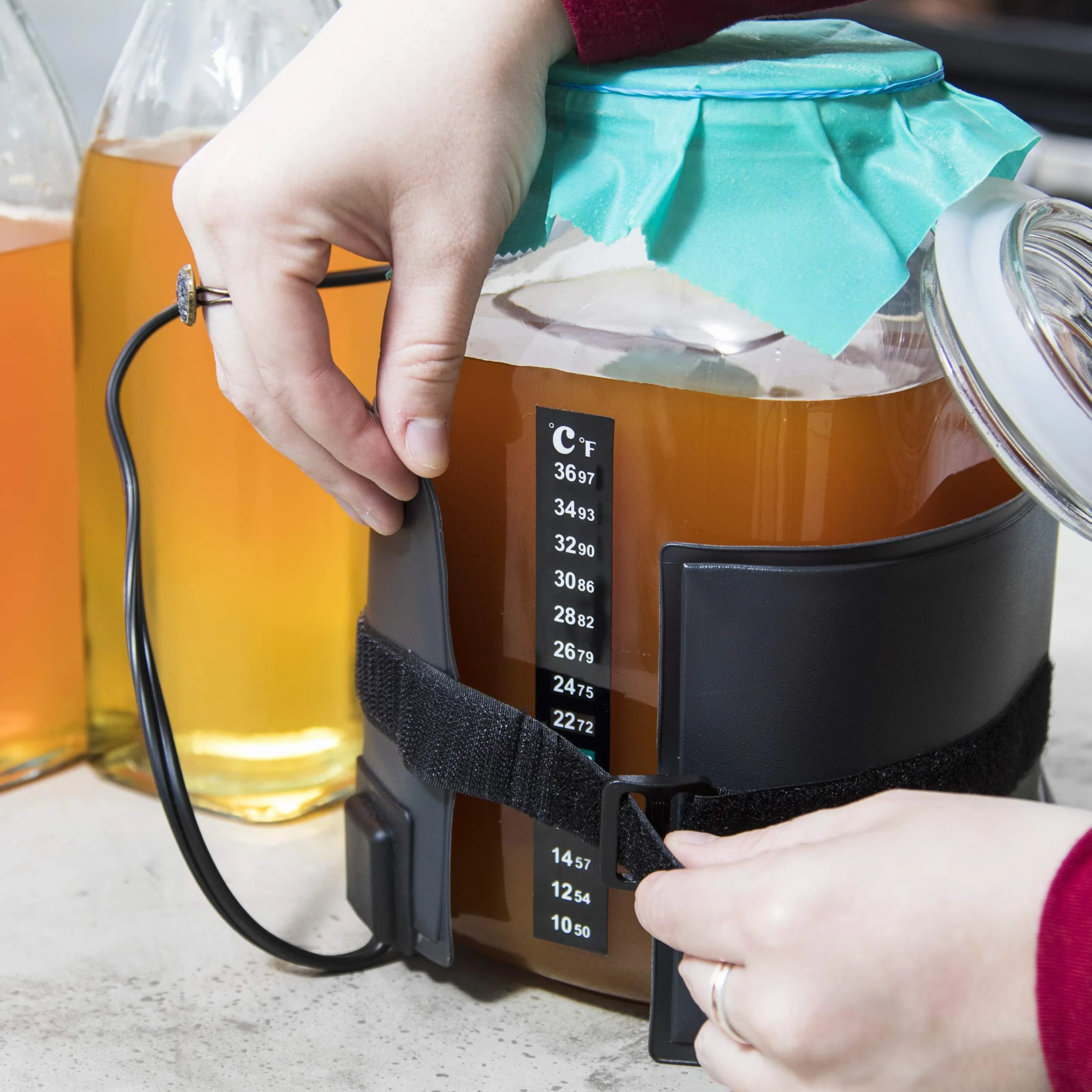 Hemlock Home Brewing Kombucha - Calentador de fermentación con Control de Temperatura