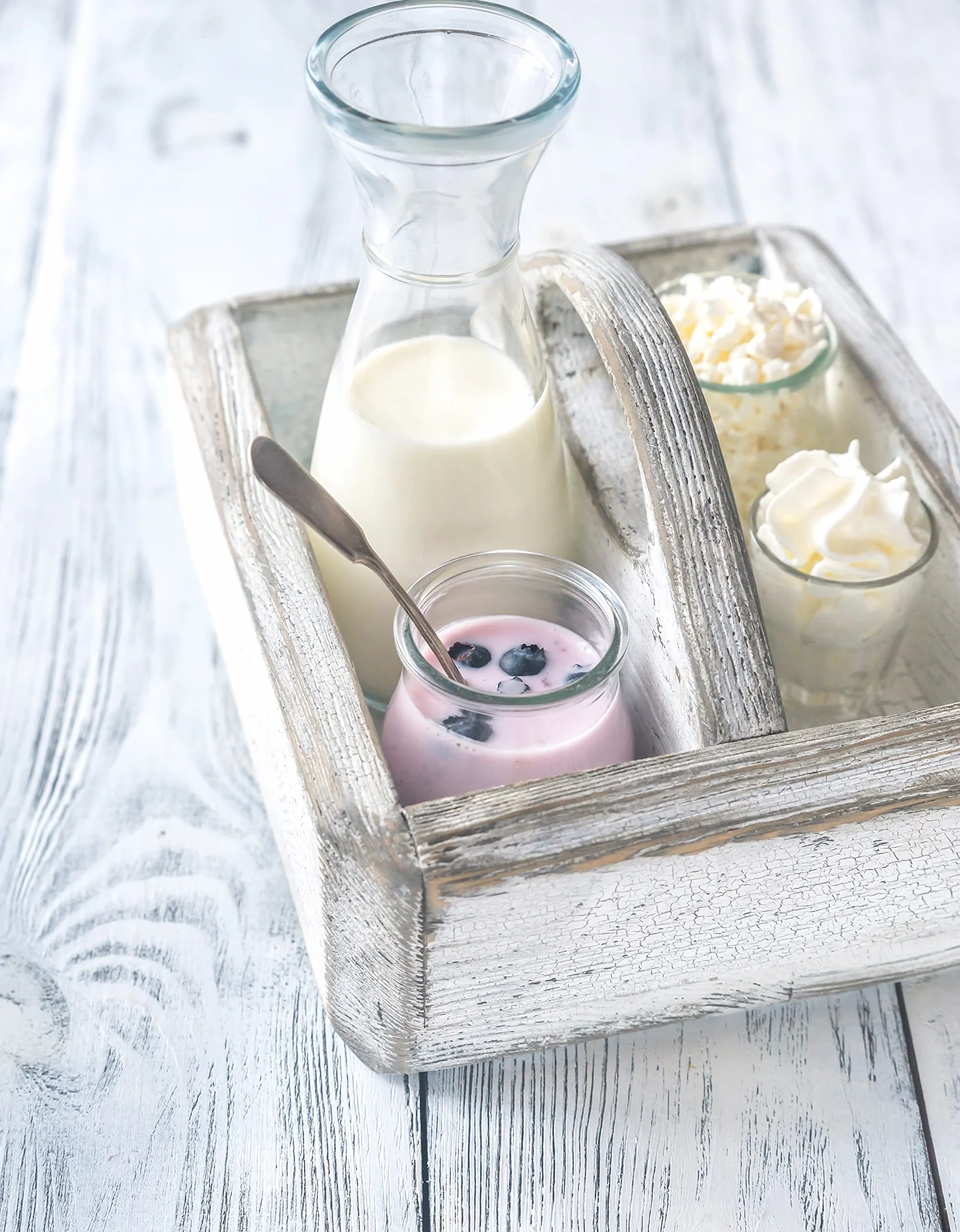 Nordic Style Ferment 3 Bolsita Liofilizada para Elaborar Yogur Casero Skyr Filmjölk Crème Fraîche