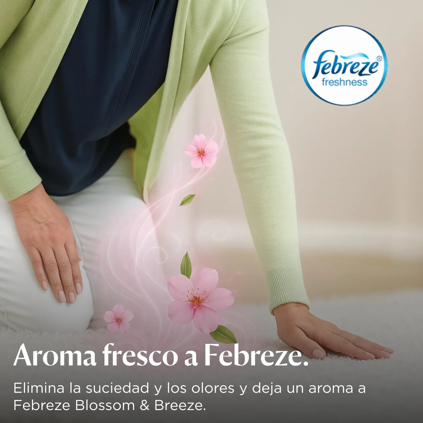 Bissell Wash & Refresh Accesorio para aspiradora azul oscuro