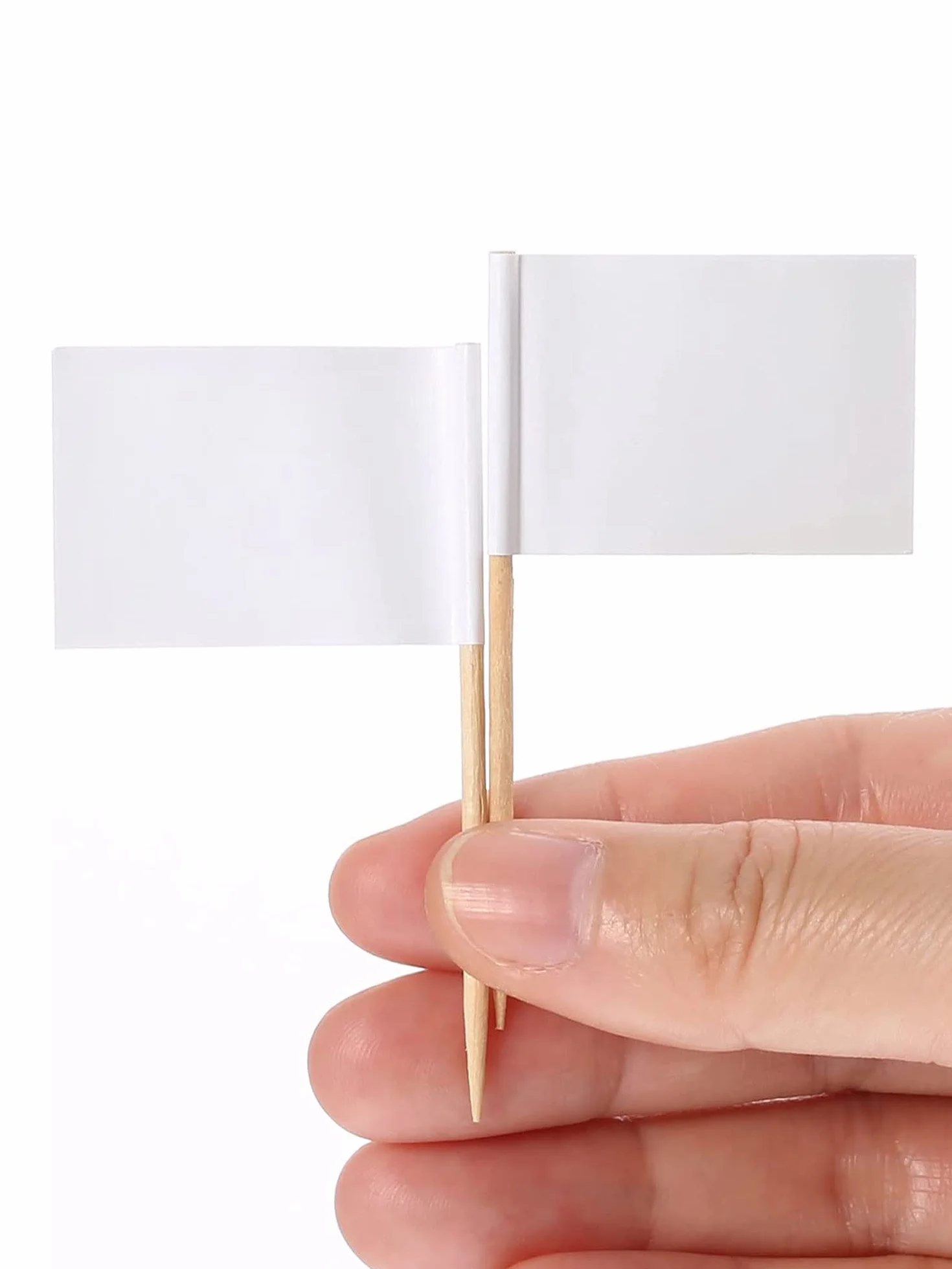 Banderas de Etiquetas Blancas con Palillos para Queso Pastel Fiesta Aperitivos (100)