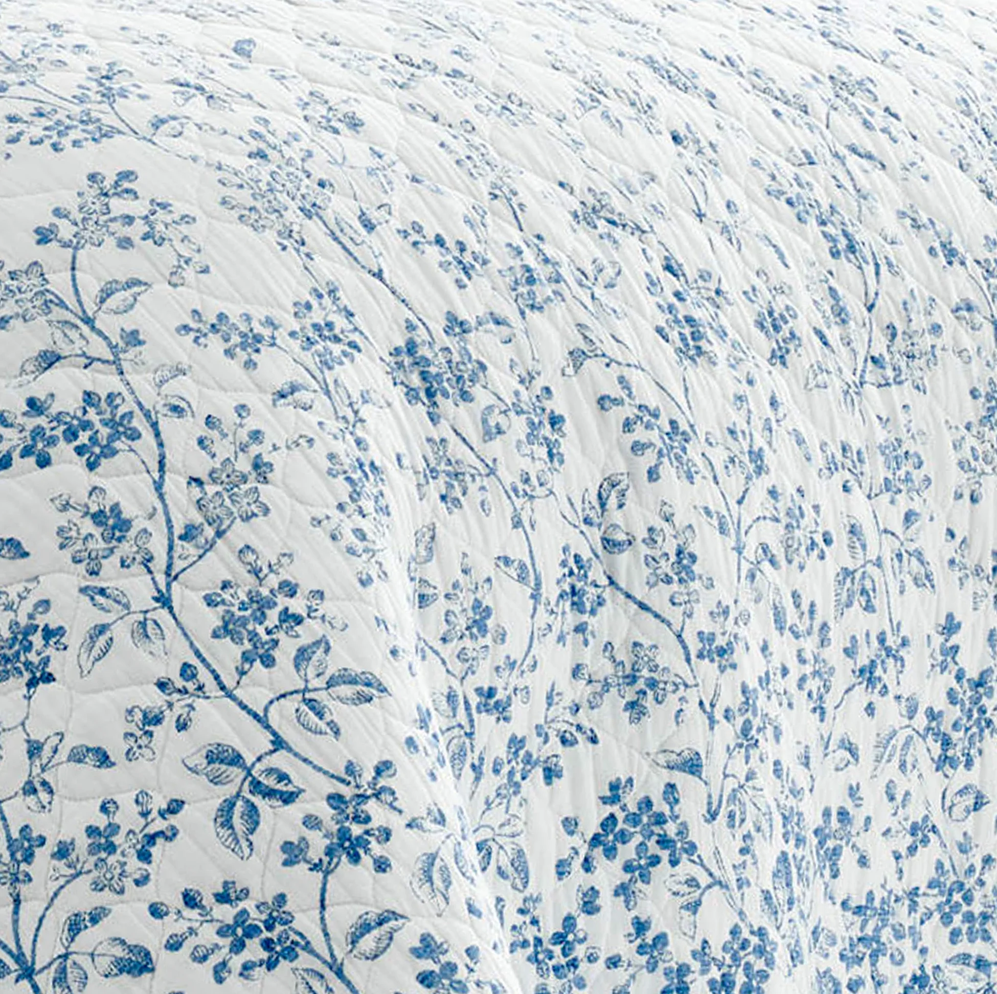 Laura Ashley Juego de edredón, 100% algodón, Azul, tamaño King