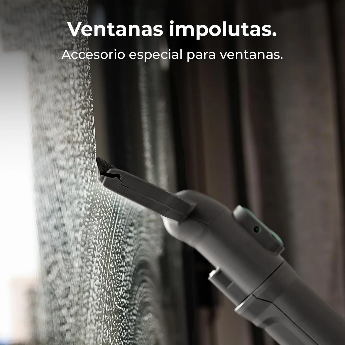 Cecotec Limpiador Aspirador de Tapicerías y Alfombras, Aspiradora de Trineo Conga CarpetClean 10000 EasyHome. 800W, Depósito de Agua Limpia 3L y Agua Sucia 1,5L, Multisuperficie, Kit Accesorios