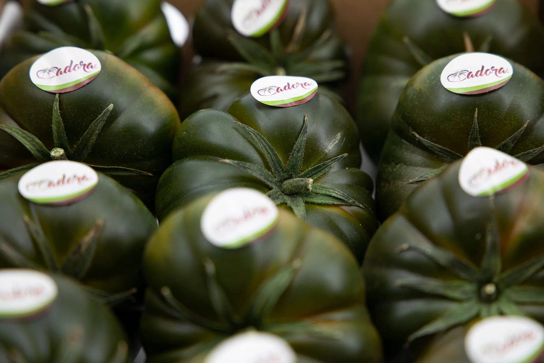 Tomate Adora 1kg La Parcela Origen España Andalucía Costa Tropical Fresco