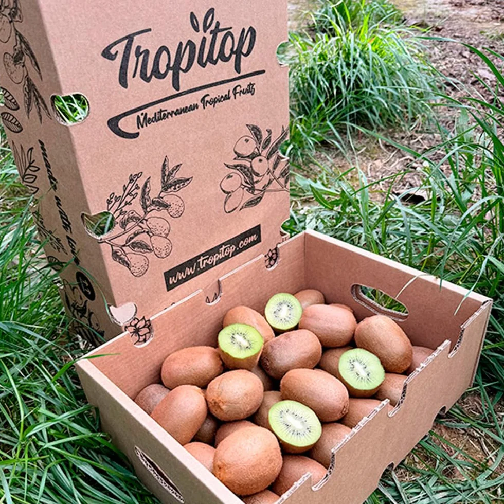 Kiwi Caja 2 Kg Fruta Directa del Agricultor Cultivado Sostenible España Rico en Vitamina C