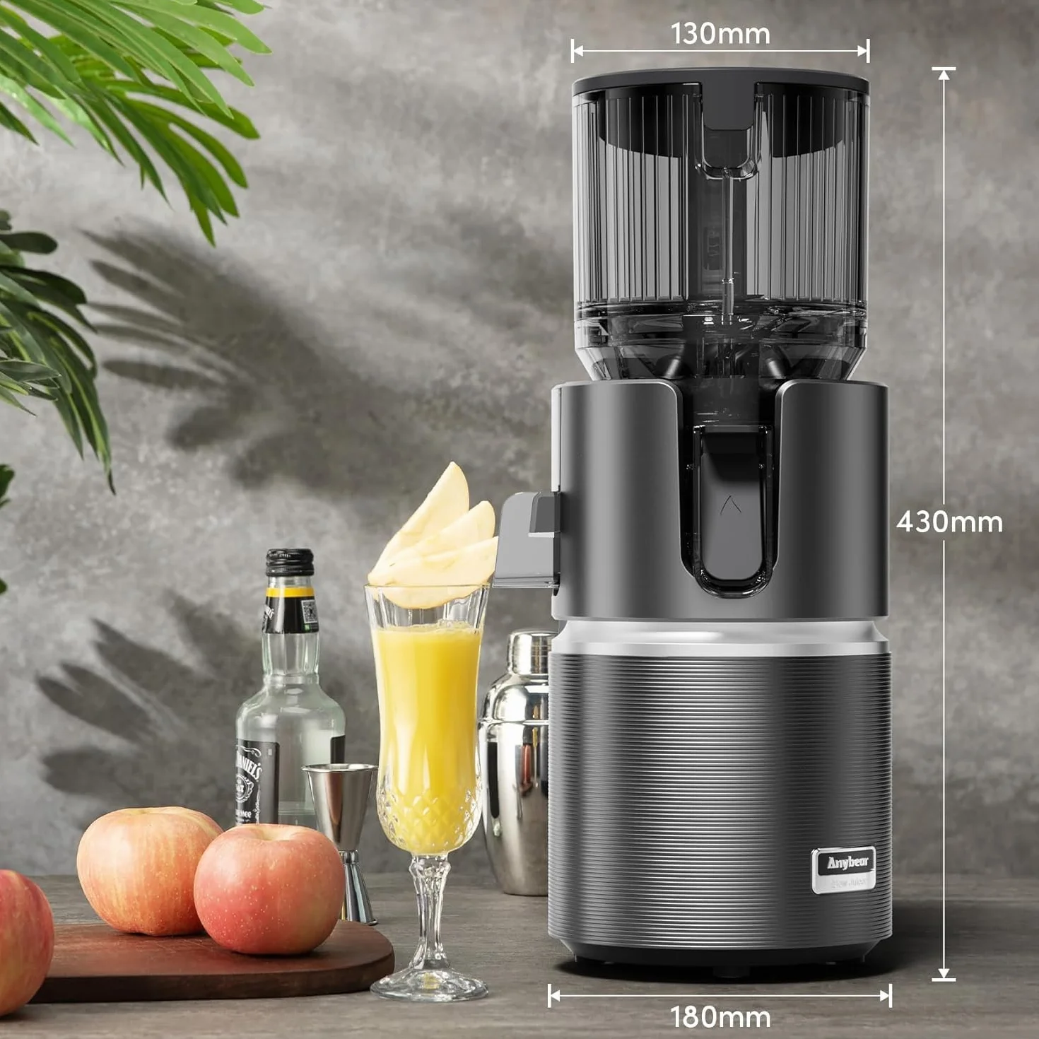 Anybear 124mm Extractor Zumos | 350W Exprimidor Doble Lento | Alto Rendimiento | Tritan Sin BPA | Recetas(Gris Oscuro)