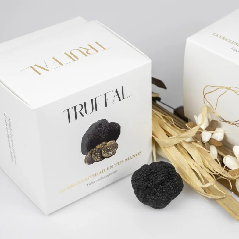 Trufa Negra Extra Tuber Melanosporum Fresca 30g