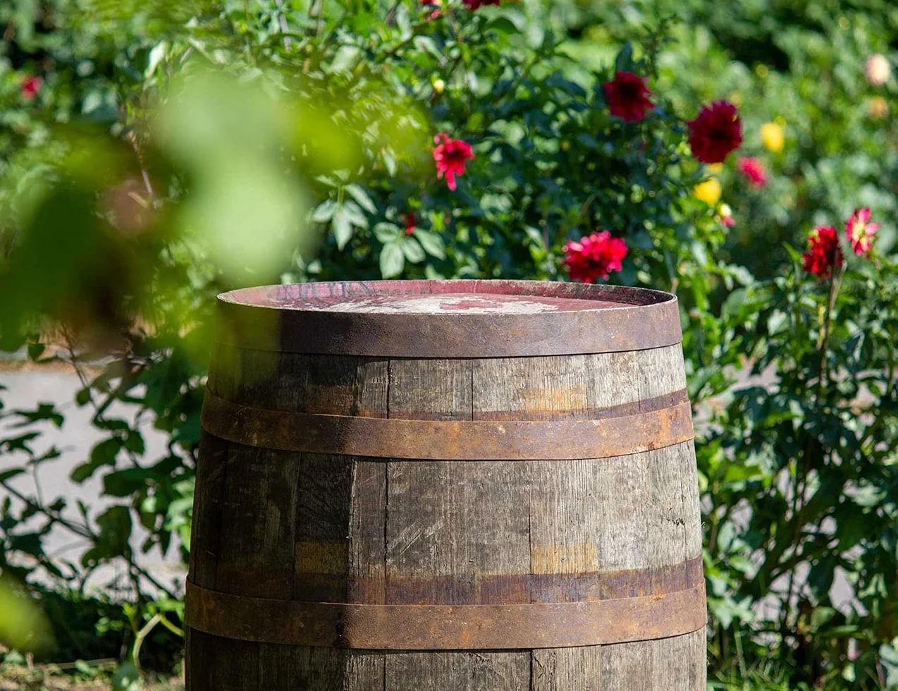 Temesso Barril de Madera Usado, auténtico Barril de Whisky escocés para decoración - con Tratamiento de Aceite