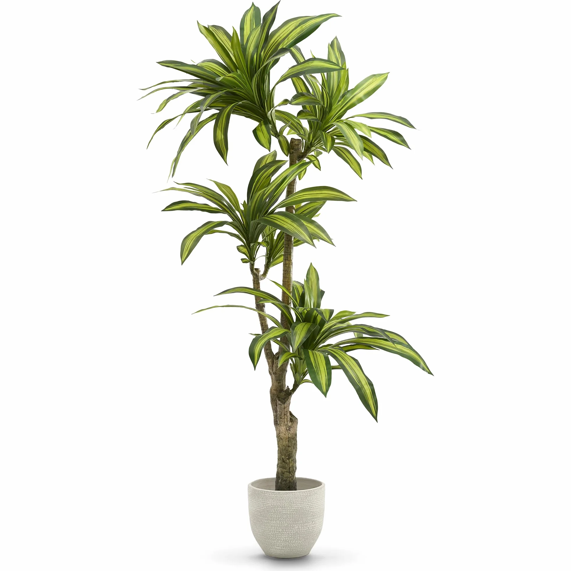 MAIA SHOP Plantas Artificiales Decorativas - Drácena Artificial 170 cm, Arbol Artificial, Planta Artificial Realista, Drácena Artificial, Decoración Hogar