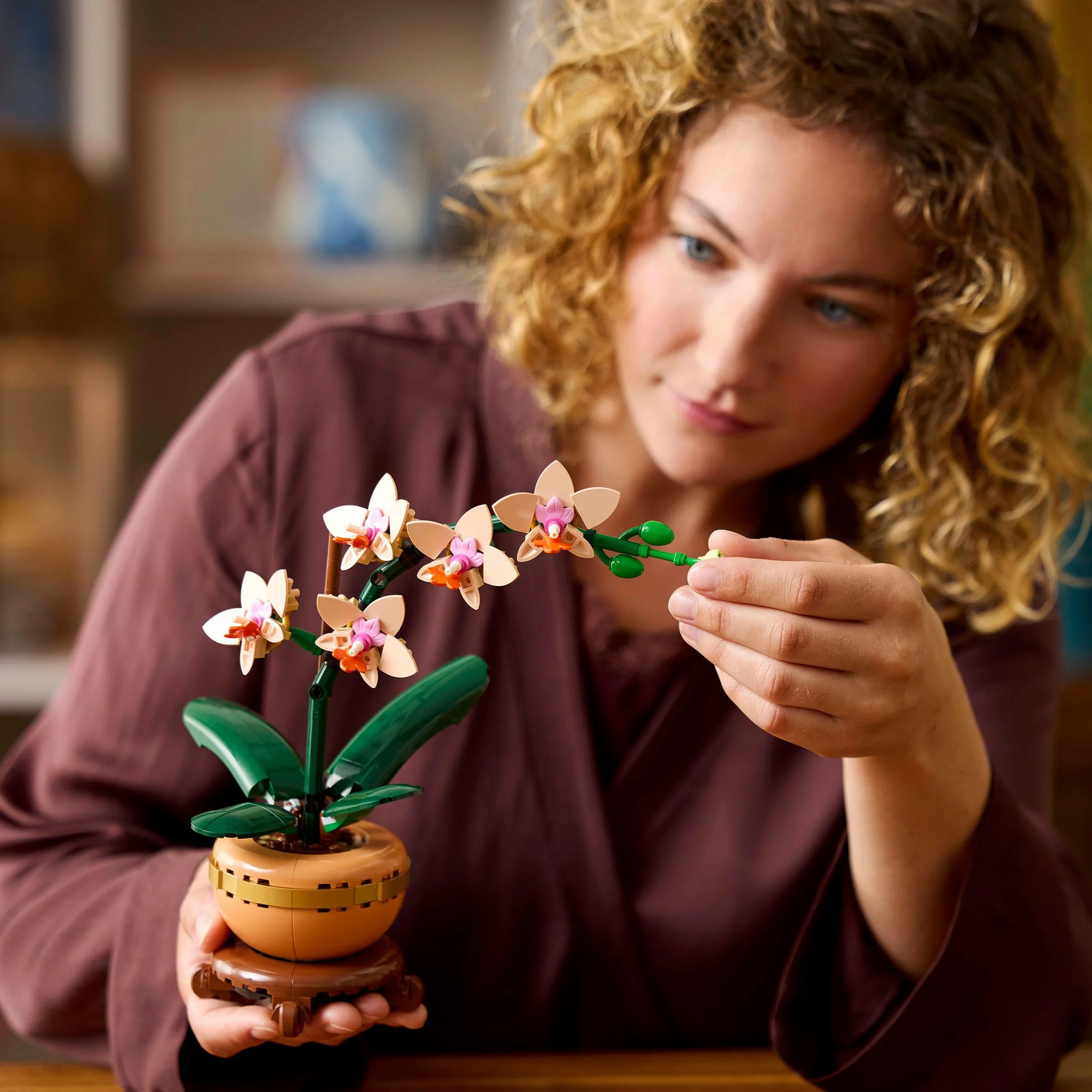 LEGO Botanicals Miniorquídea 10343 Maqueta para Construir Adultos Orquídea Flor Planta Artificial Decoración Hogar